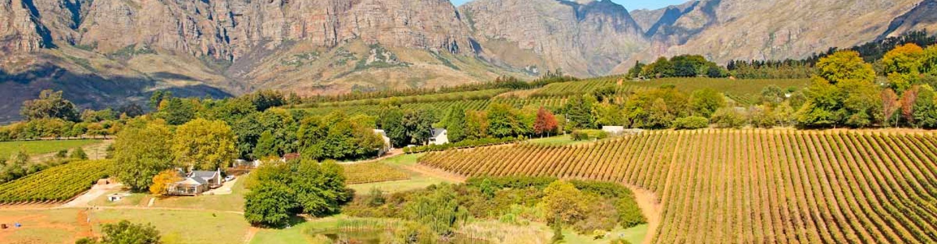 Stellenbosch, ZA
