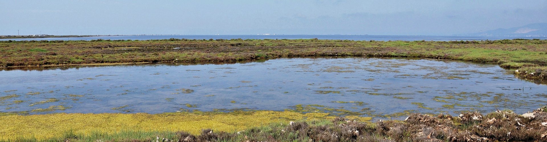 Stunning Amposta view