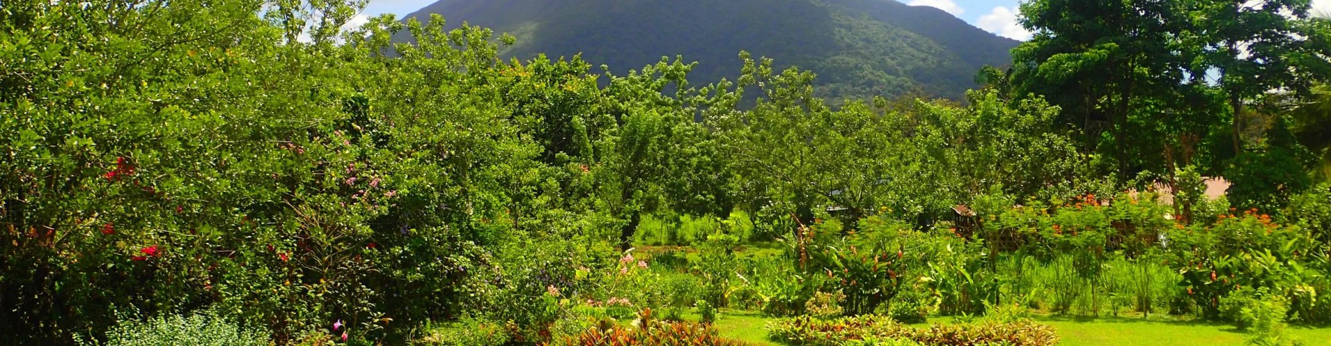 La Fortuna, CR