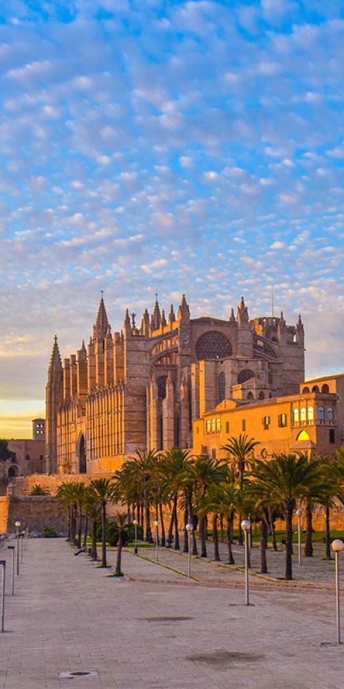 Palma neighbourhood vibes