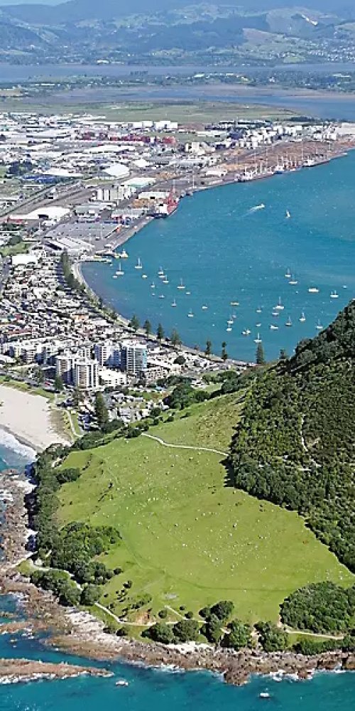 Neighbourhood Tauranga NZ