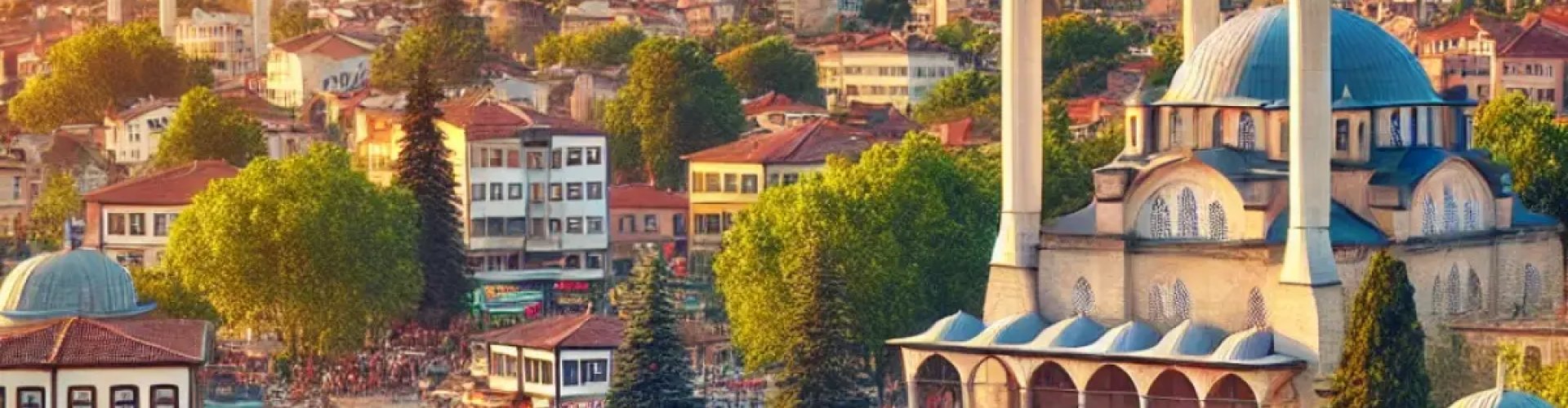 Bursa cityscape