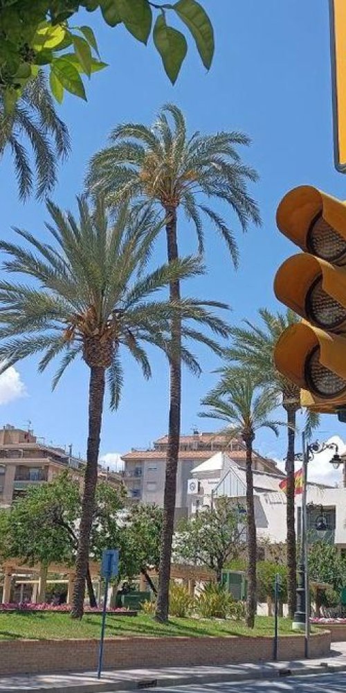 Neighbourhood life in Molina de Segura