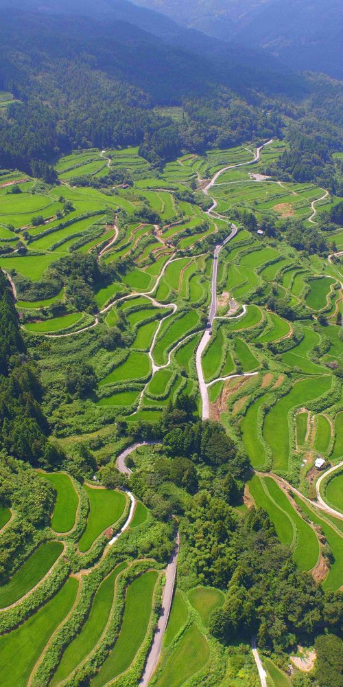 Neighbourhood vibes in Kochi, JP