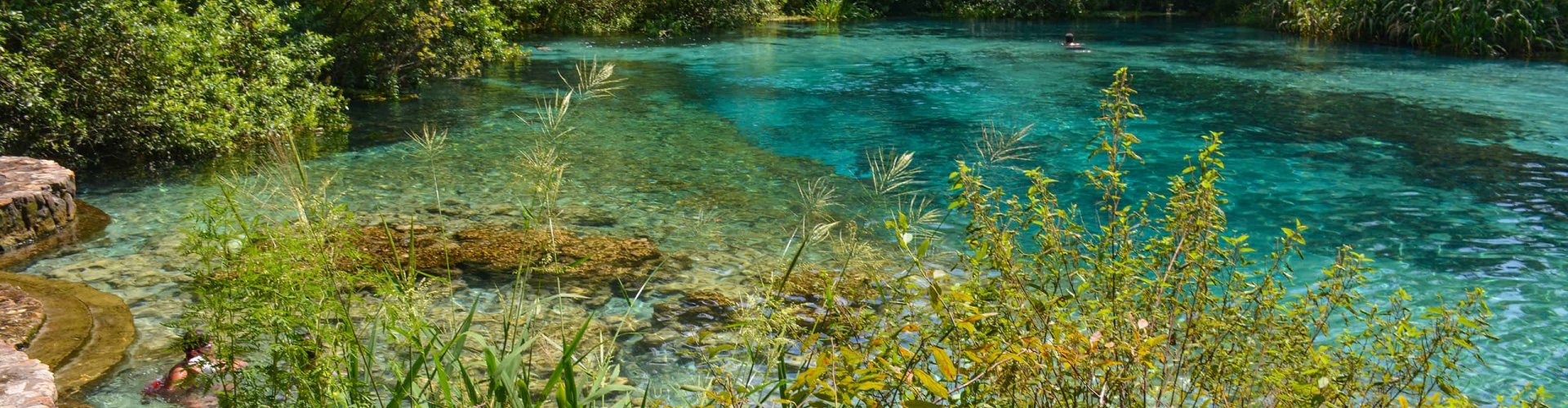 High Springs landscape