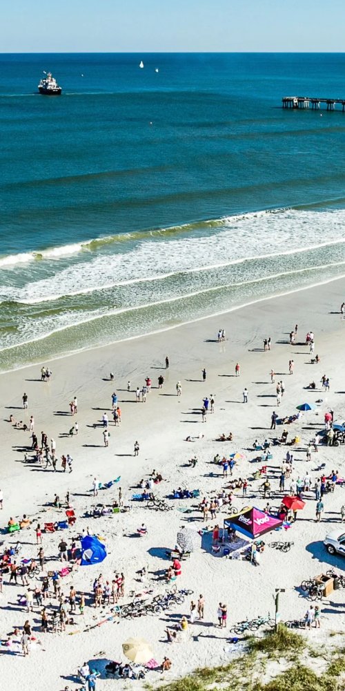 Jacksonville neighbourhood vibes