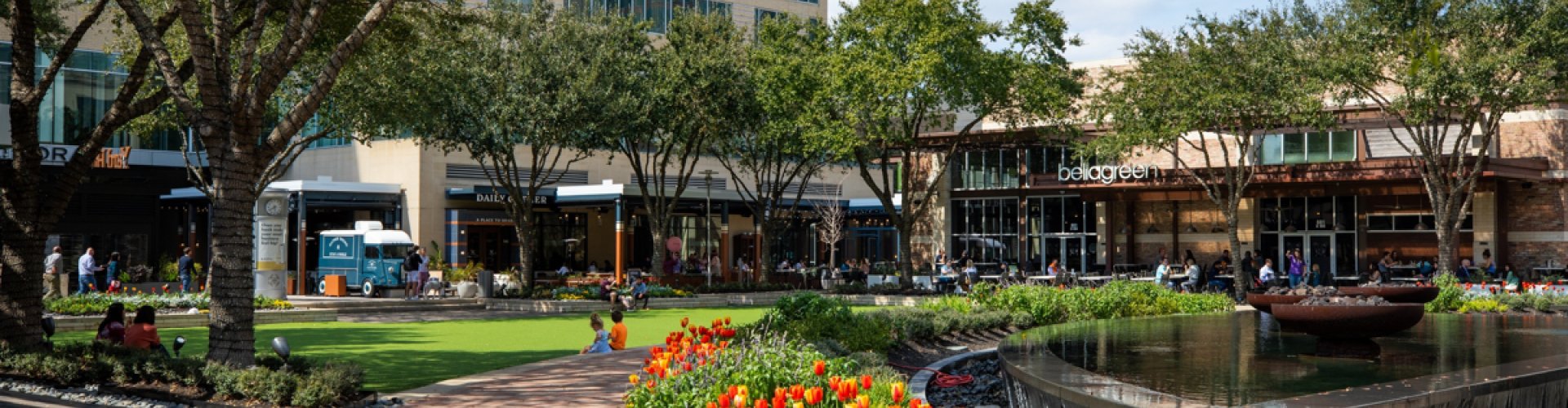 Houston cityscape landscape
