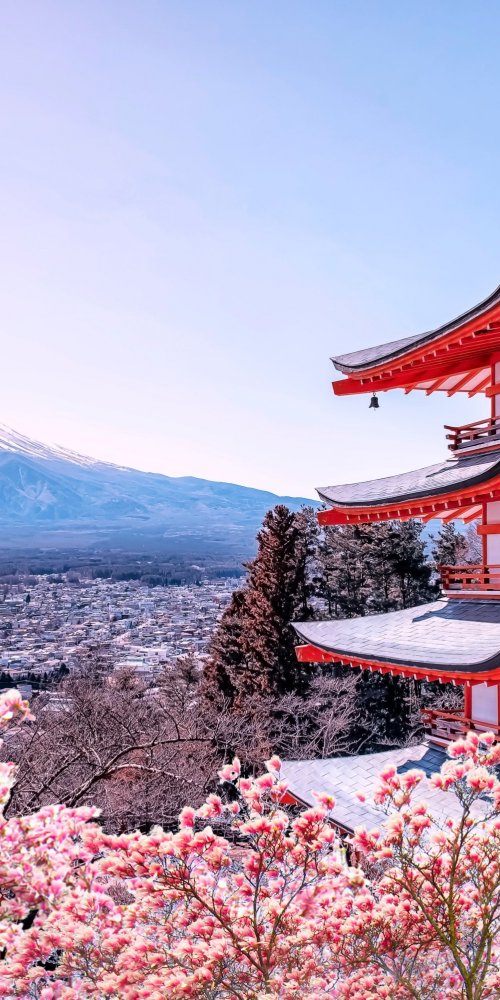 Tokyo apartment interior