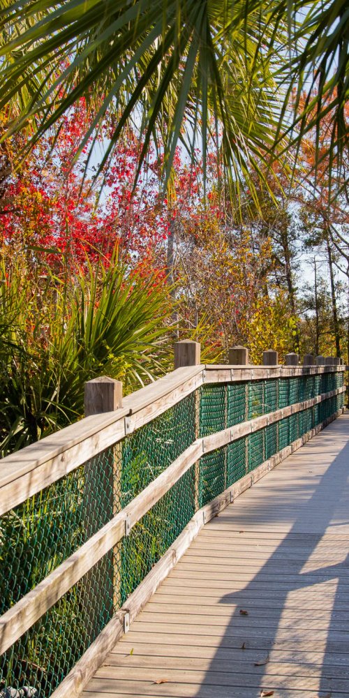 Neighbourhood vibes in Niceville