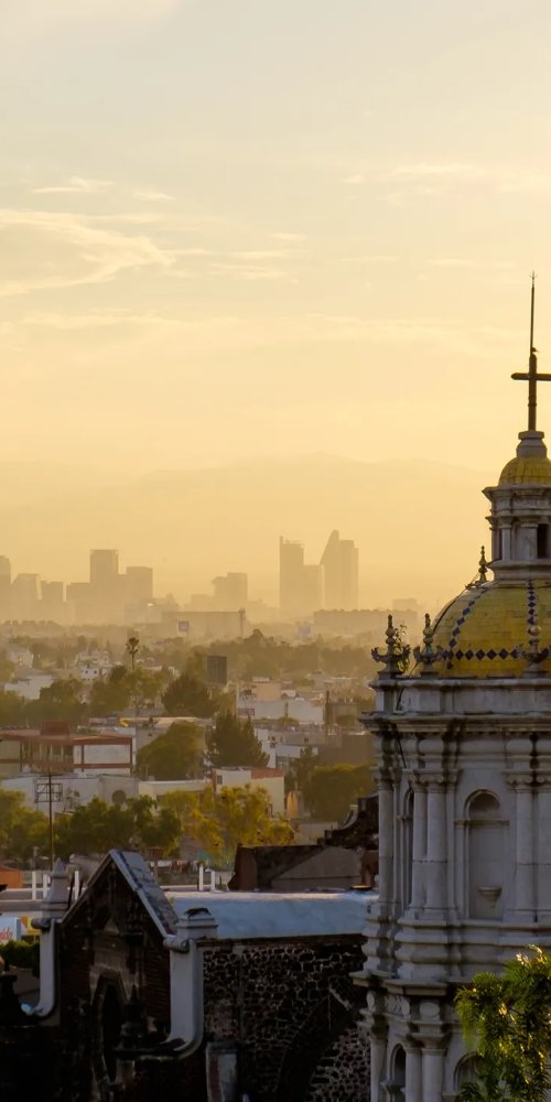 Mexico City neighbourhood vibes