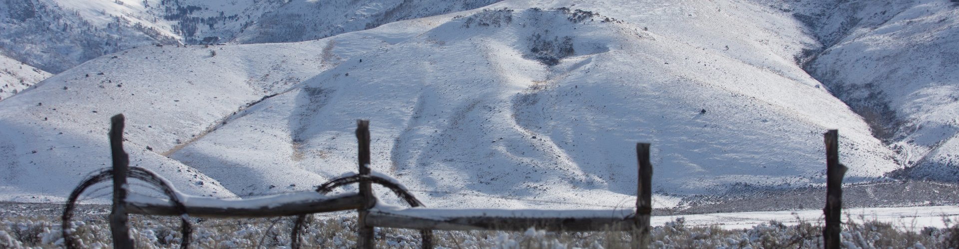 Elko landscape view