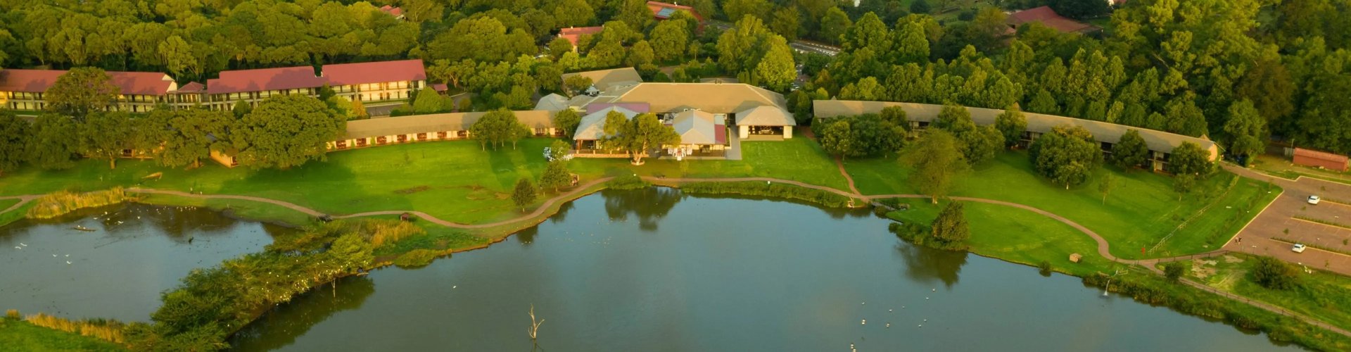 Edenvale cityscape at dusk