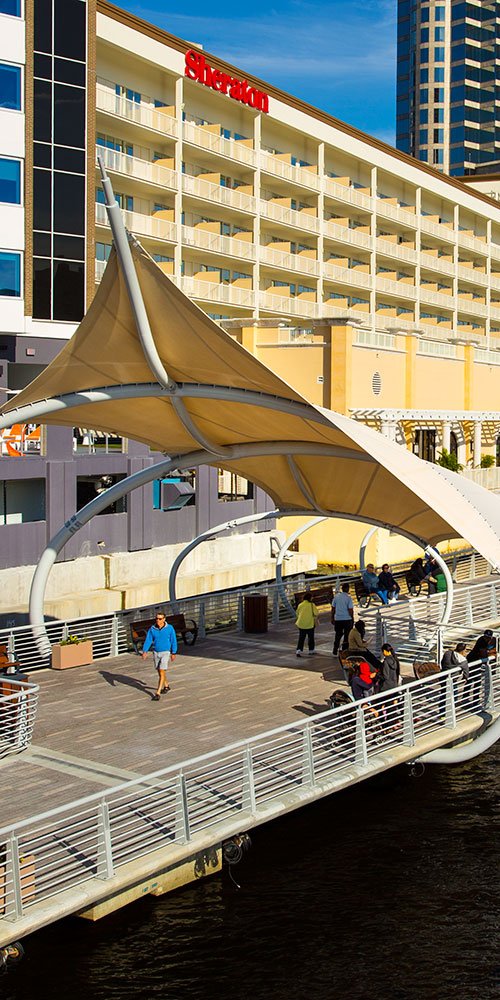 Tampa neighbourhood vibes