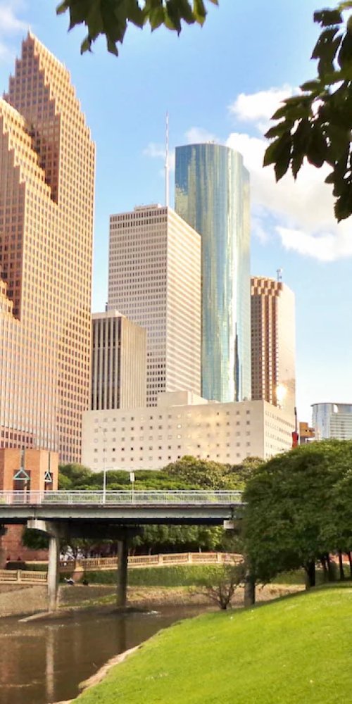 Houston neighbourhood vibes