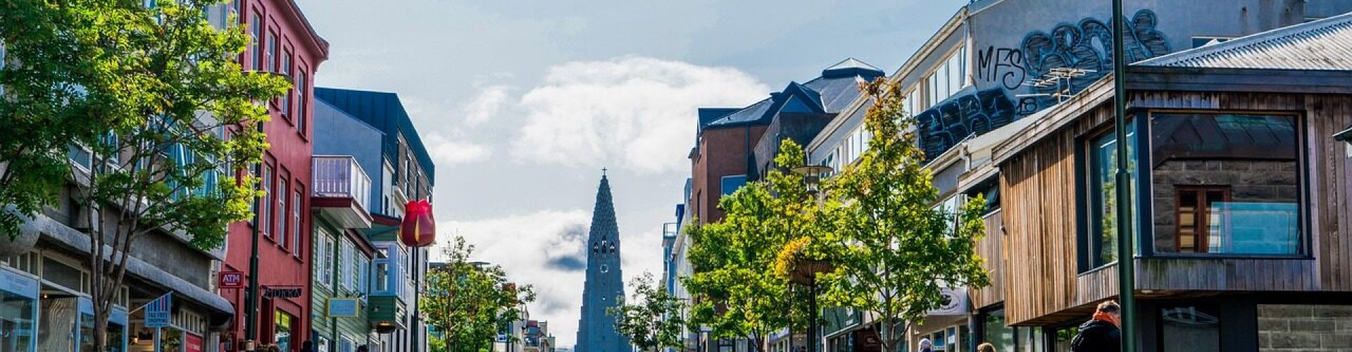 Reykjavík Cityscape