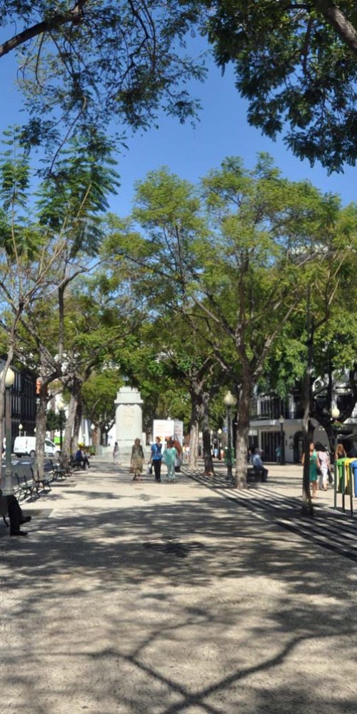 Funchal Local Neighbourhood Vibe
