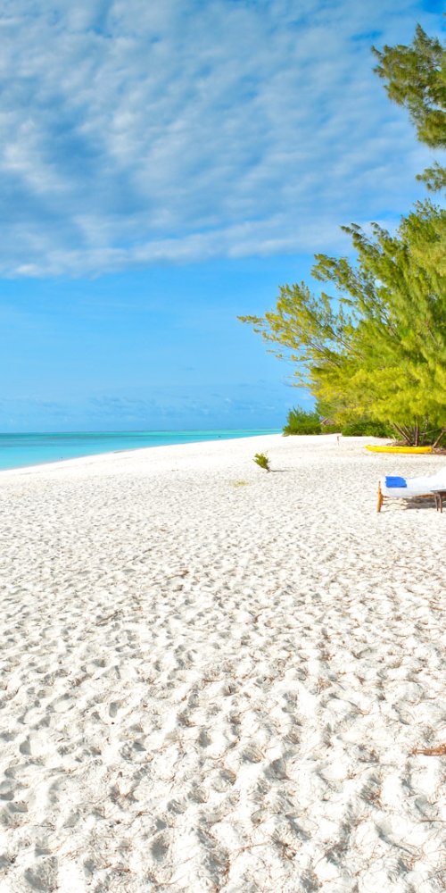 Zanzibar Neighbourhood Vibes