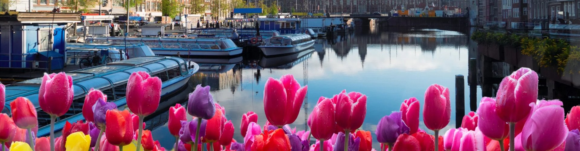 Scenic Amsterdam View