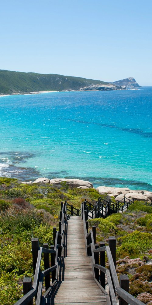 Neighbourhood vibes in Albany