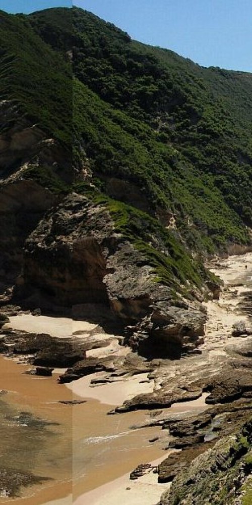 Sedgefield neighbourhood vibes