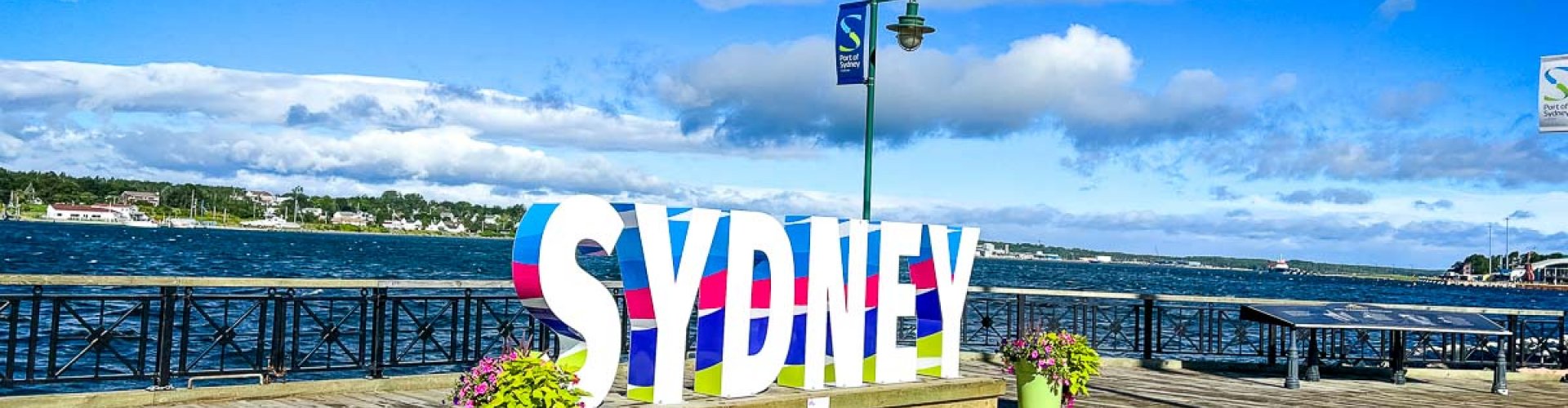 Sydney skyline at sunset